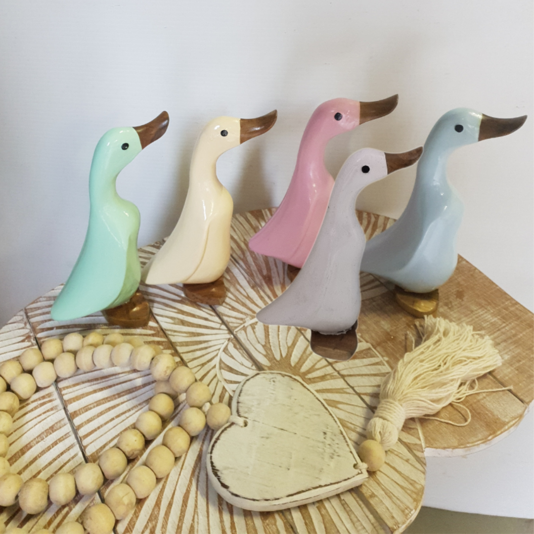 Baby Duck Carvings Pastel Colours