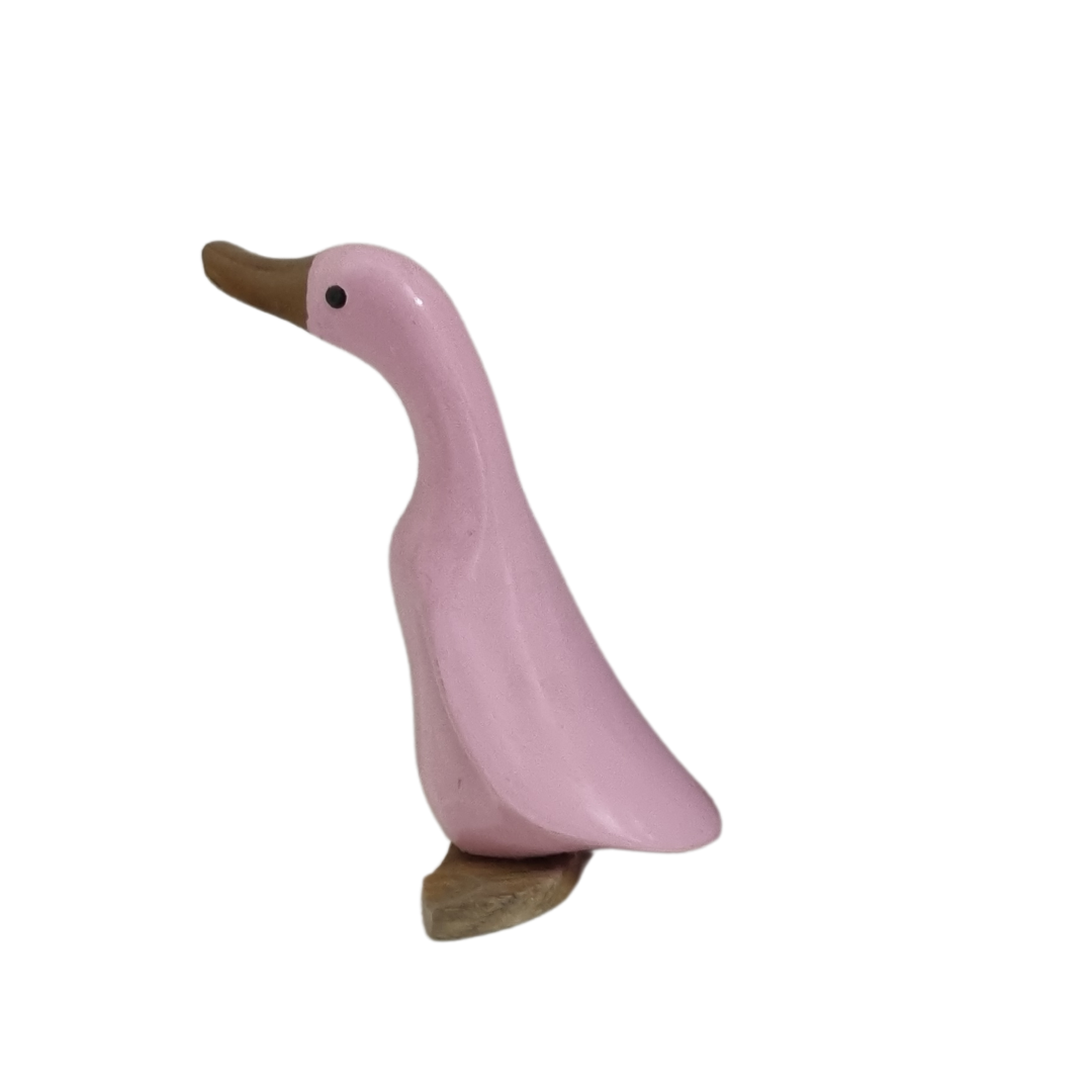 Baby Duck Carvings Pastel Colours