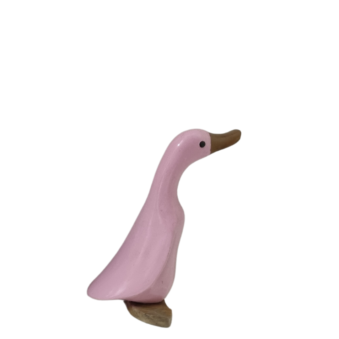 Baby Duck Carvings Pastel Colours