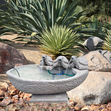 water fountain with water feature surrounded by rocks and plants