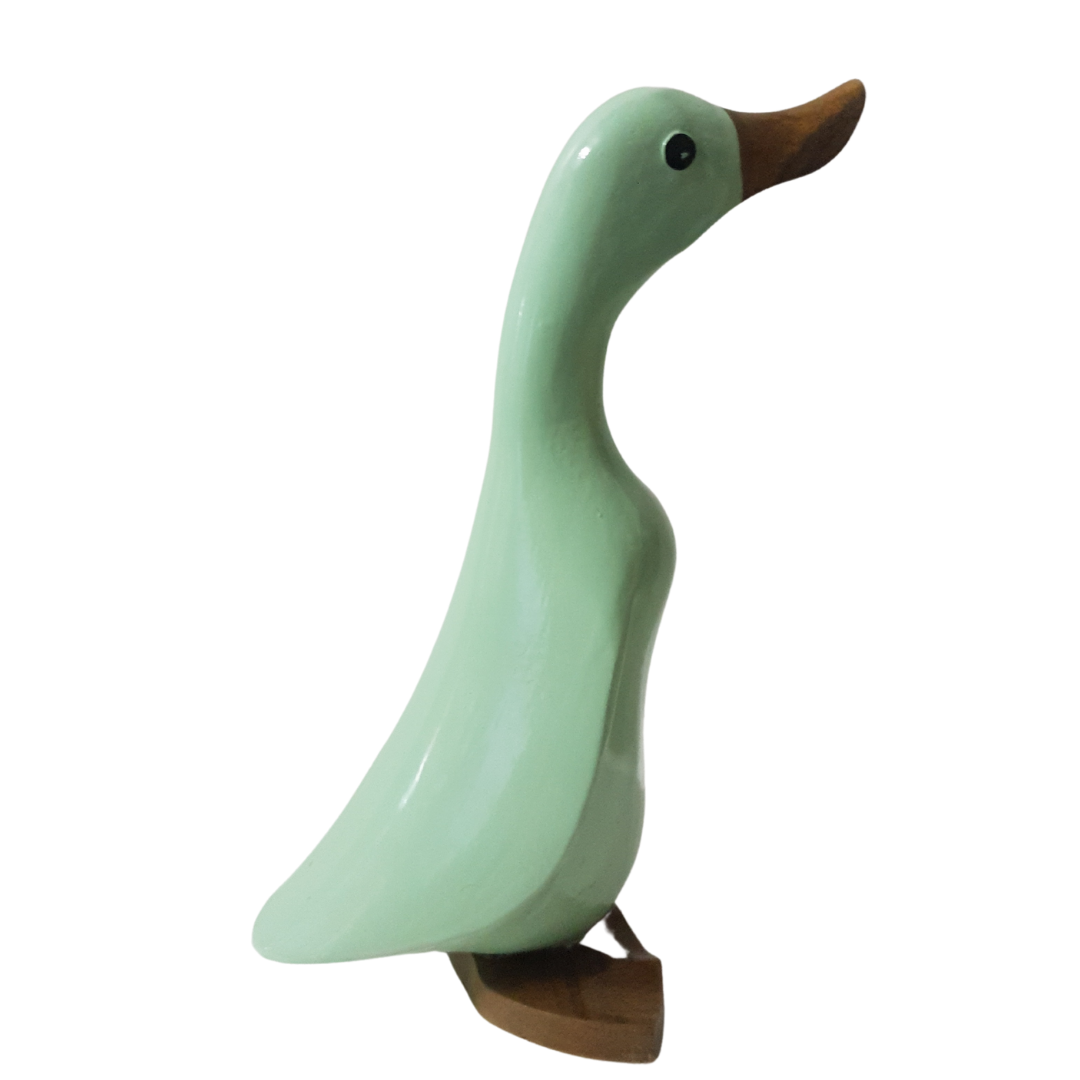 Baby Duck Carvings Pastel Colours Green