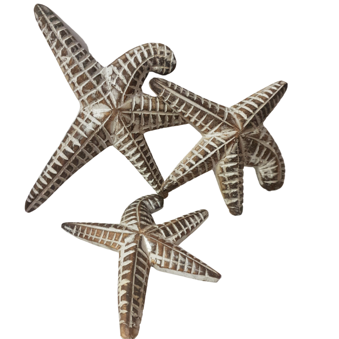 Wooden Star Fish Set