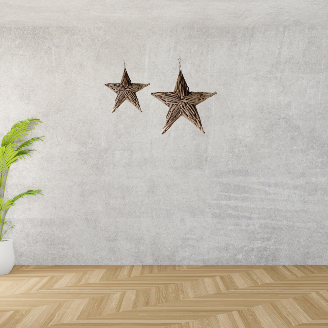 Star Driftwood Wall Hanging