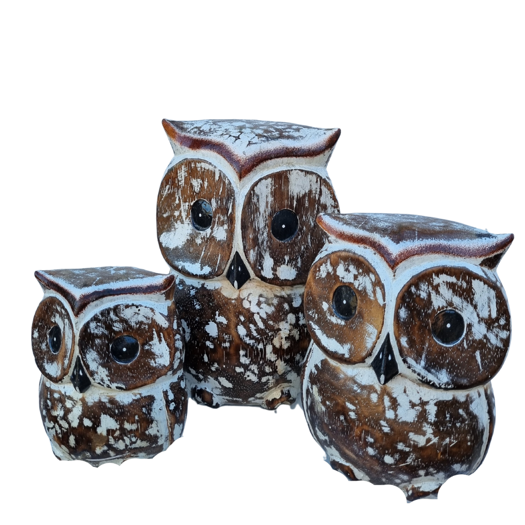 Owl Wooden Statues Set of Three 