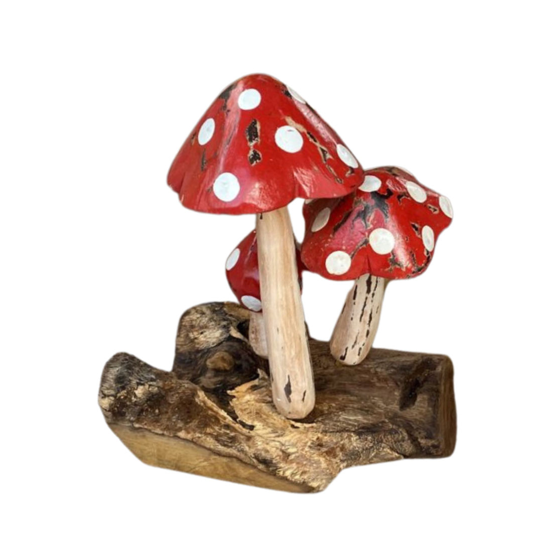 Red Top Mushroom Carving