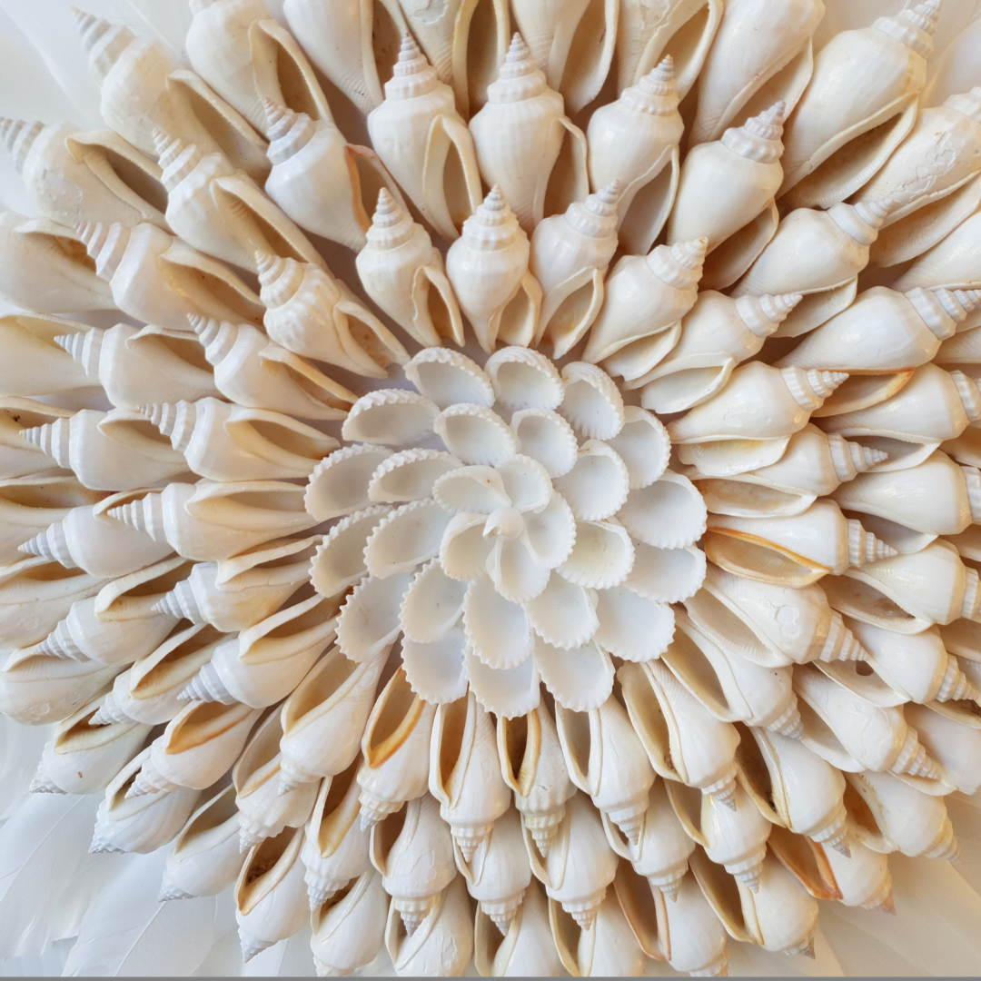 Juju Decorative Shell Wall Décor