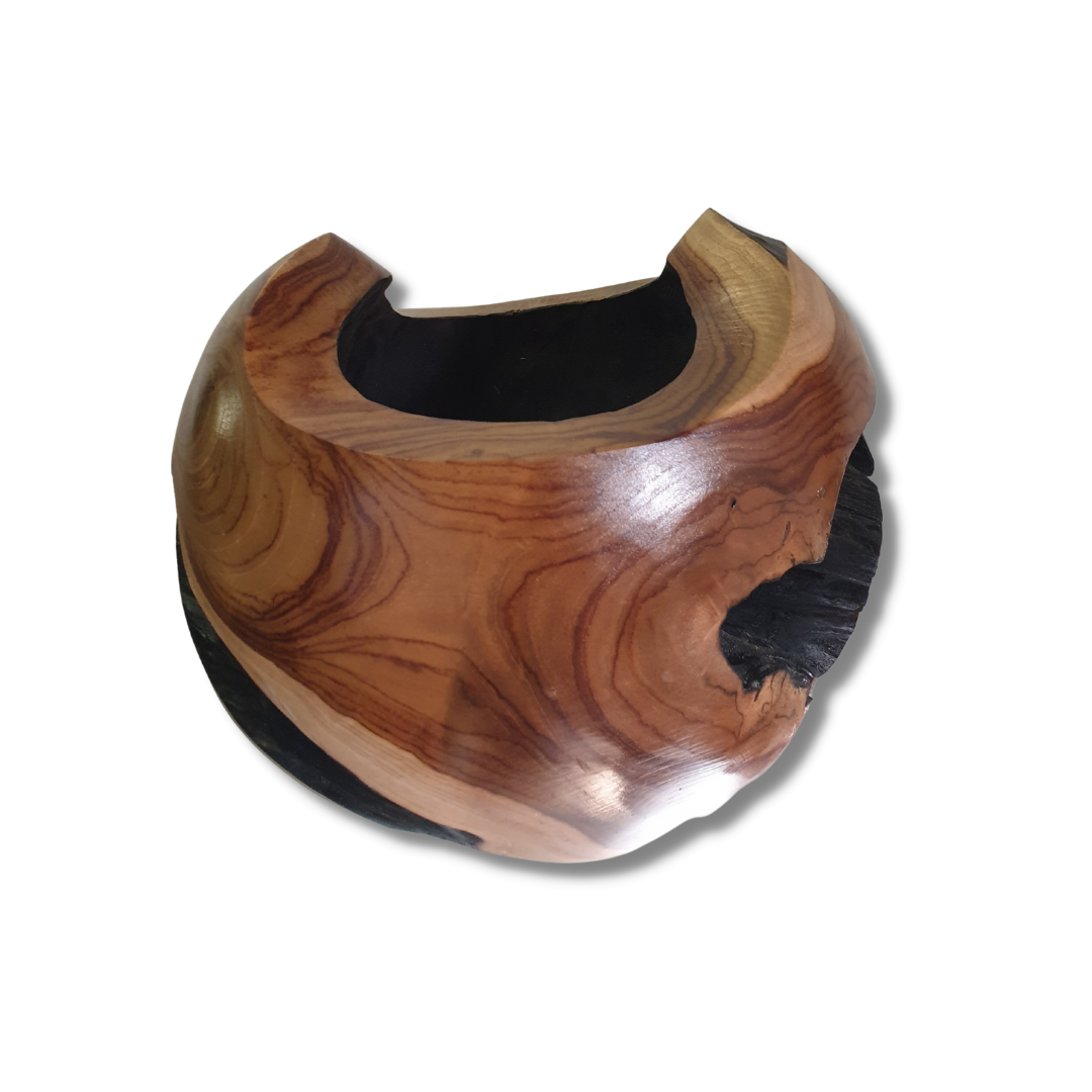 Natures Elegance Abstract Vase