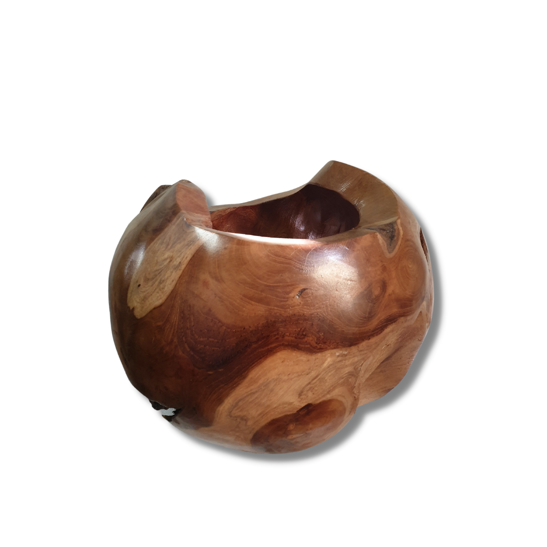 Natures Elegance Abstract Vase STYLE 1