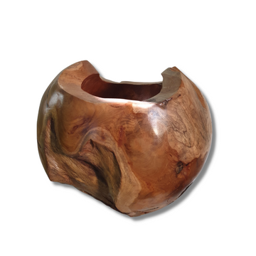 Natures Elegance Abstract Vase 
