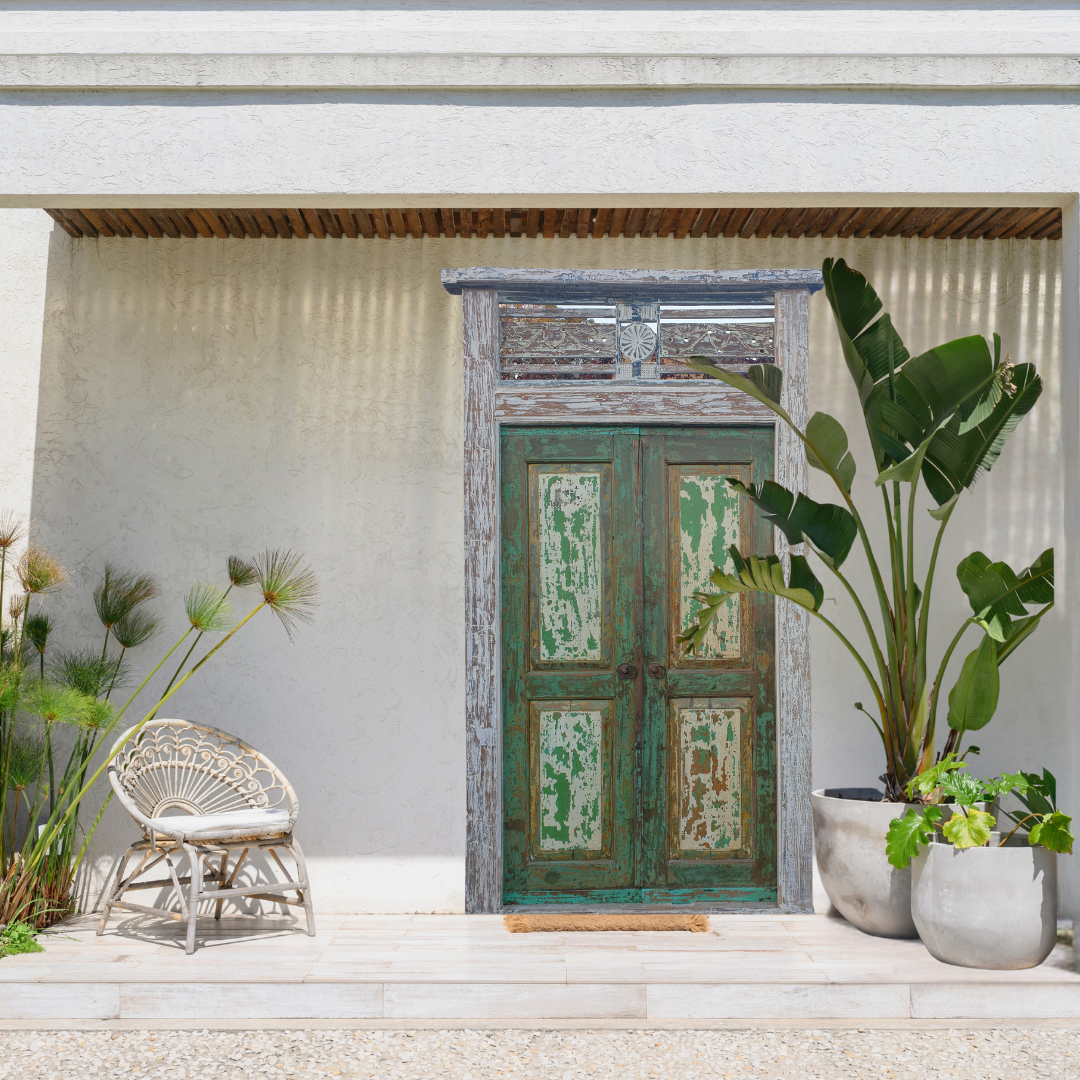 Vintage wooden door with plants and a chair in front of a light-colored wall