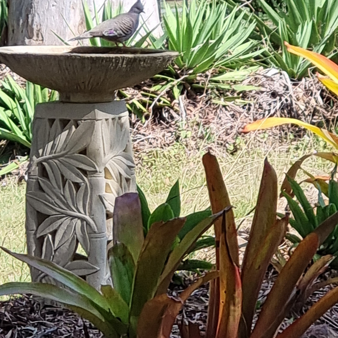 tropical leaf pedestal placed in a lush garden with green foliage, natural white finish