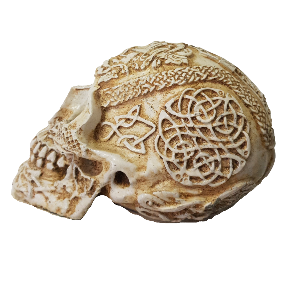 Side profile of Boho Skull Art Tabletop Design in White/Cream, revealing intricate Celtic knotwork, triquetra symbols and a detailed serpent motif across the temple and crown of the handcrafted resin skull, tabletop décor piece by Azure Decor