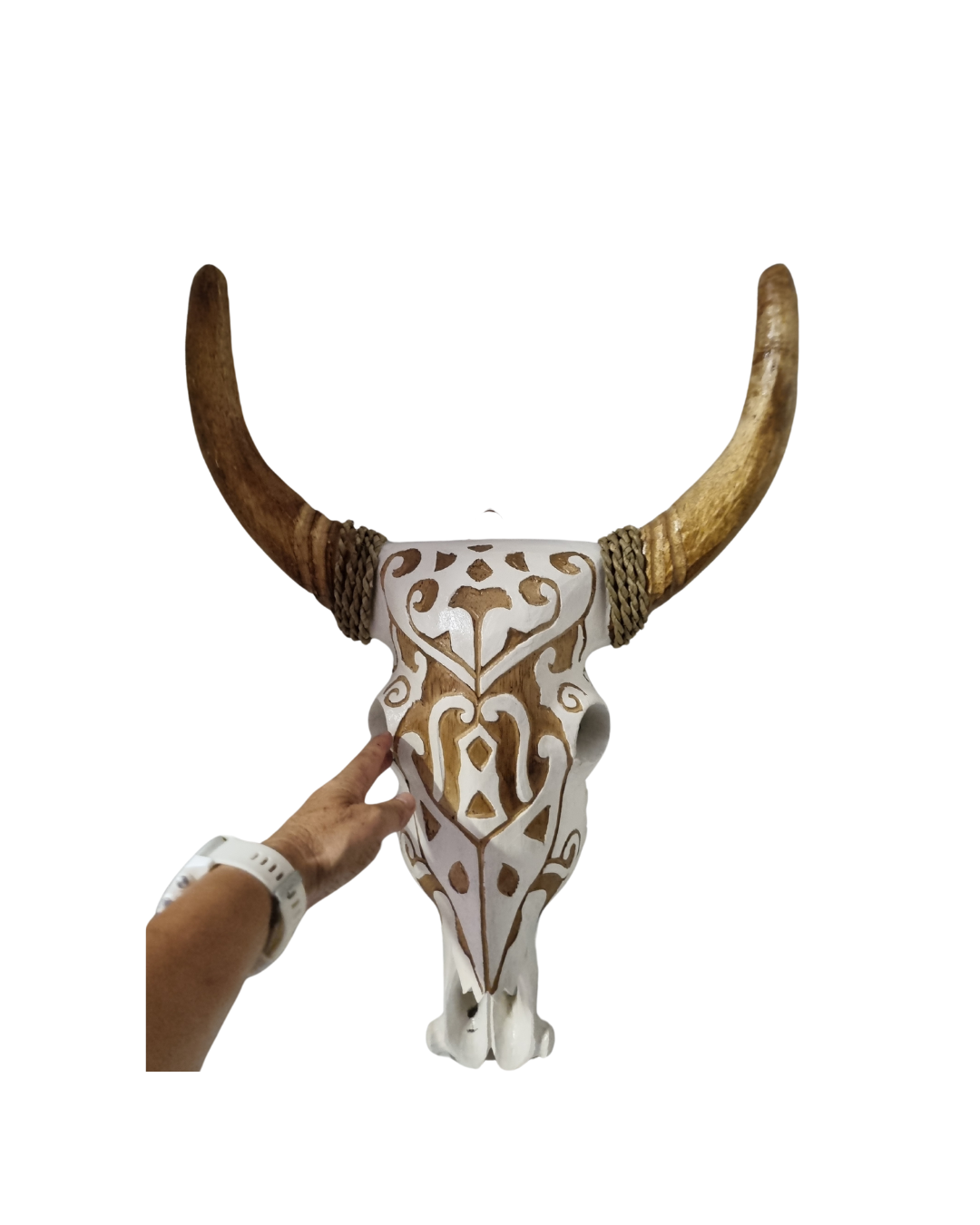 Wooden bull skull wall carving in white-wash finish with intricate boho carved detail and natural horns | Azure Decor