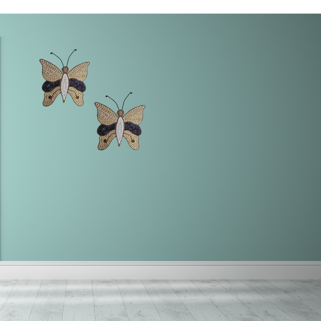 A set of wall-mounted Butterfly Shell Artwork made from assorted shells, predominantly in shades of brown and white, with a butterfly silhouette in the center. on a green wall 