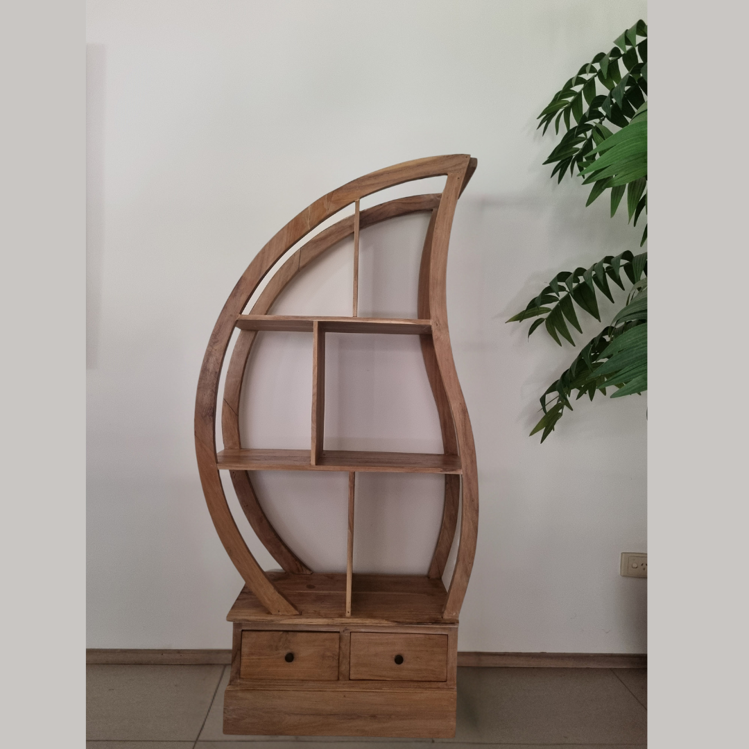 Wooden bookshelf with curved design against a white wall with a plant.