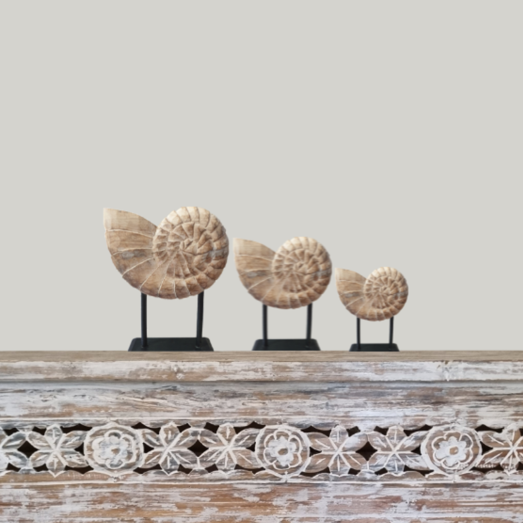 Three decorative ammonite fossils on stands against a light gray background