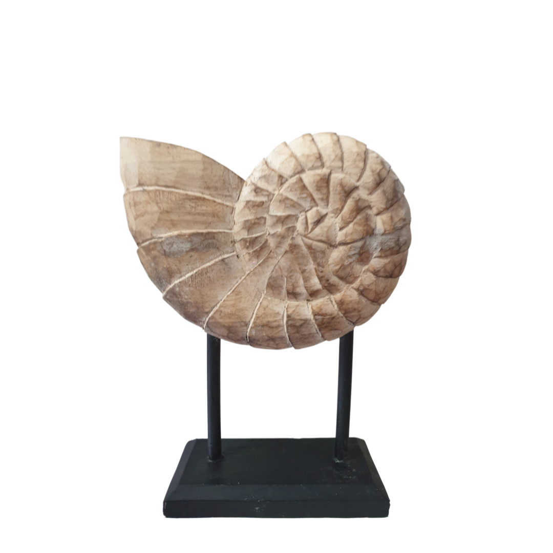 Medium hand-carved wooden nautilus shell sculpture on natural wood base – coastal decor by Azure Decor