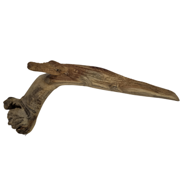 Parasite Art Wood Carvings