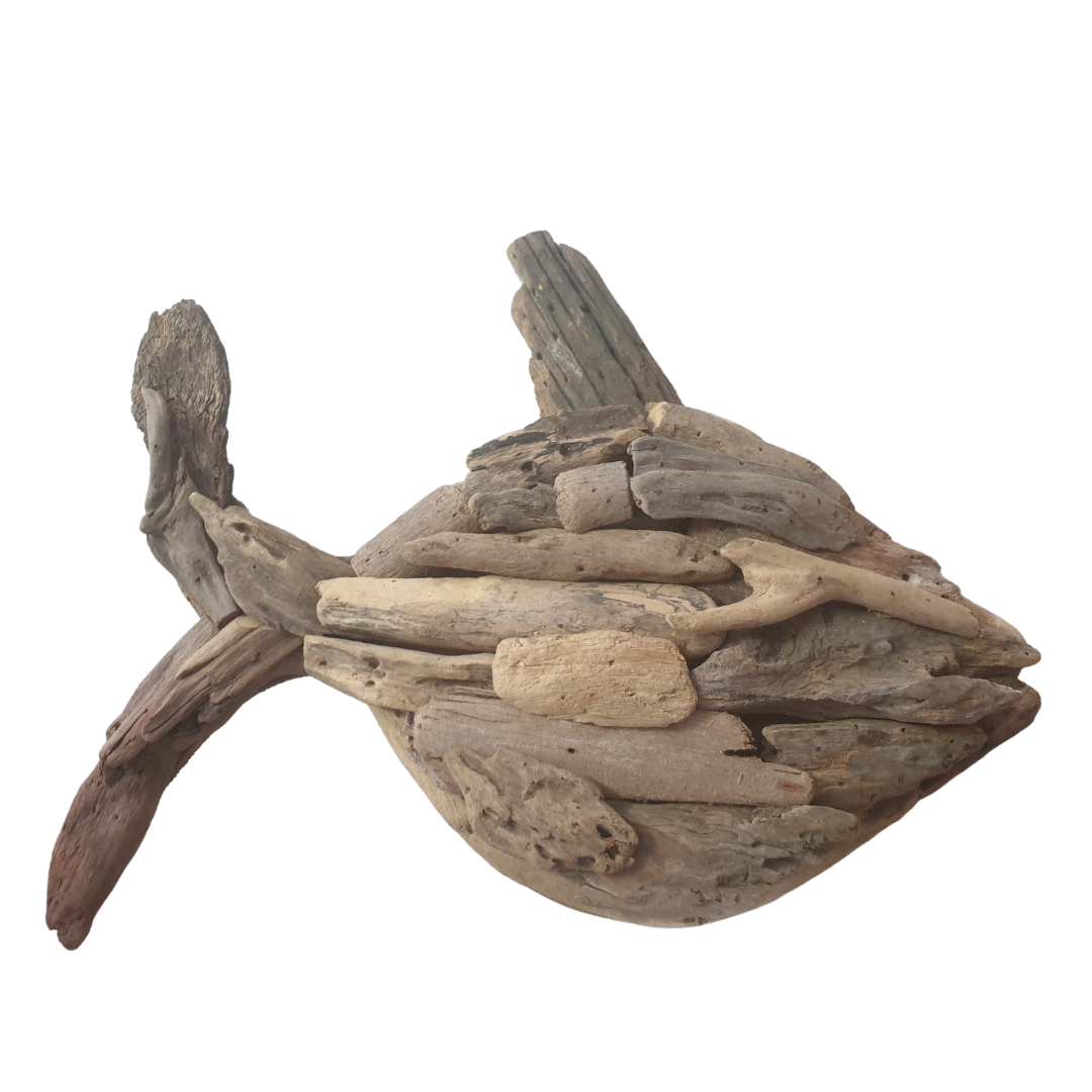 A wall-mounted driftwood fish art piece in a boho style, displayed against a white background with wooden flooring.