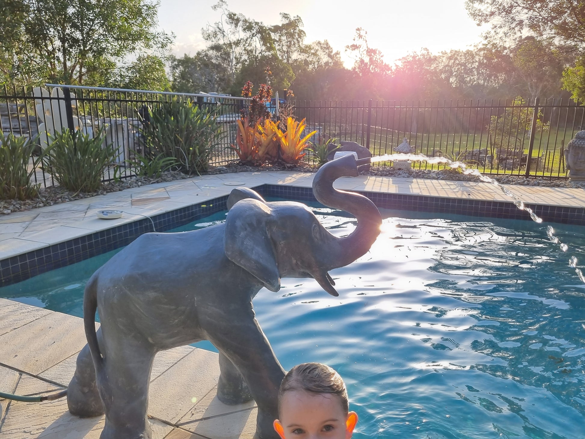 Elephant Statue water spilling out fo trunk into a swimming pool 