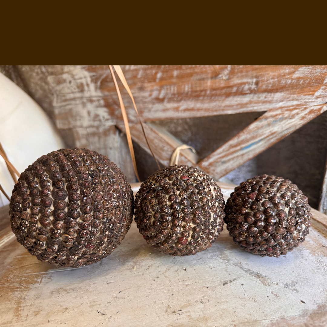 Three textured brown shell balls on a wooden surface with a rustic background
