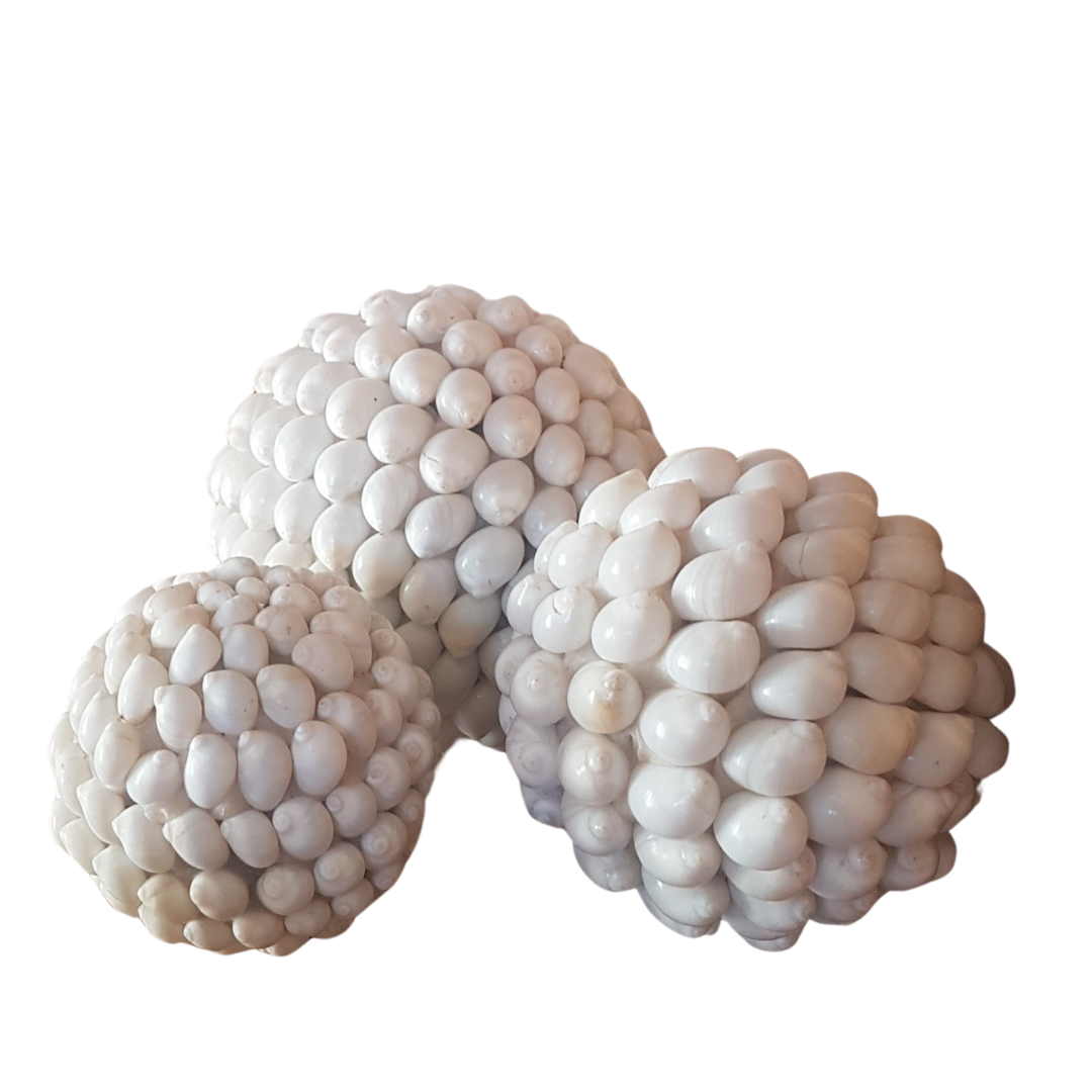 Shell Balls Exquisite Shell Balls Decor - Azure Decor