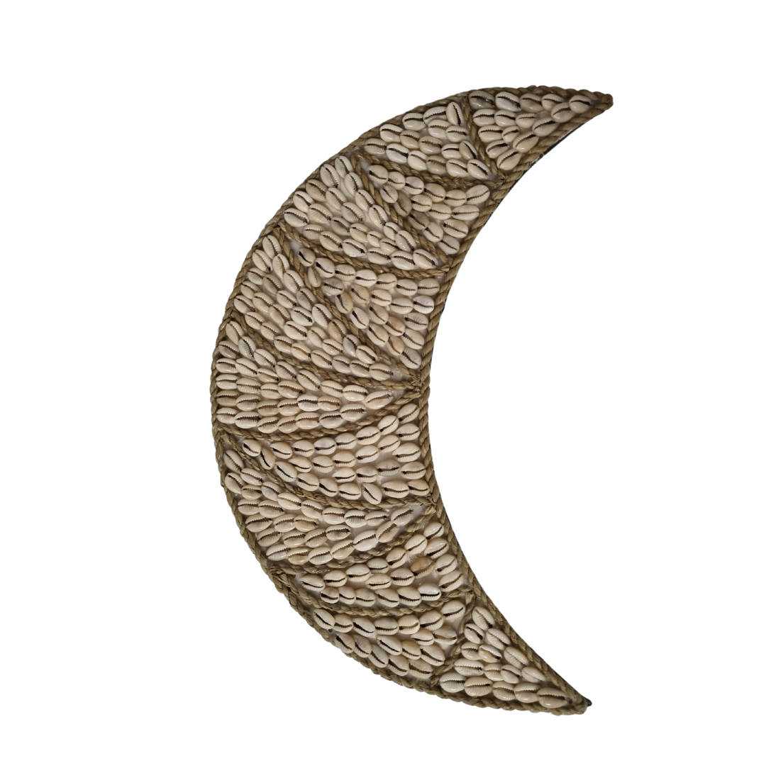 Coastal Crescent Shell Wall Décor for Your Home - Azure Decor