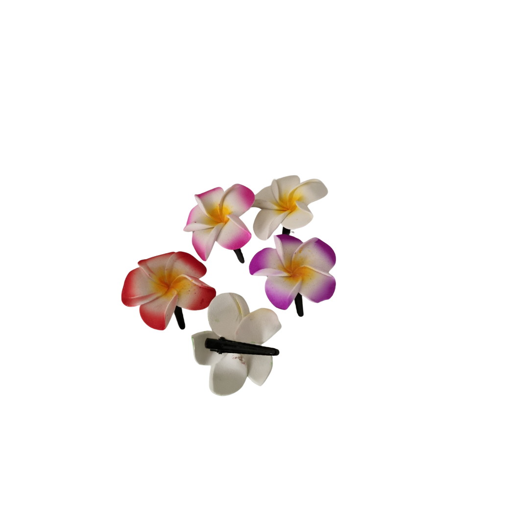 Frangipani Hair Clips Pack 