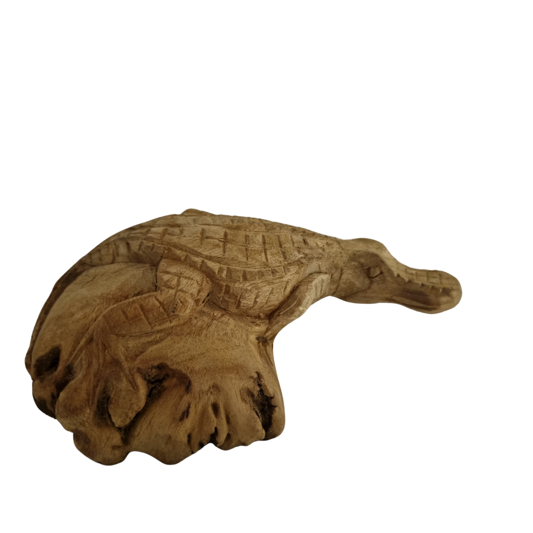 Hand-carved parasite wood crocodile sculpture on a white background, showing natural wood grain and texture