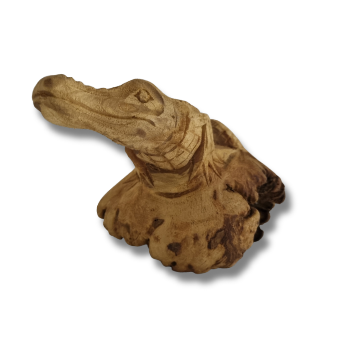 Side view of a hand-carved wooden crocodile sculpture made from parasite wood, on white background