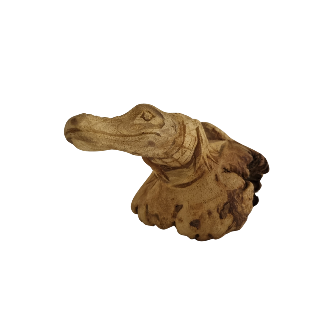 Close-up of a hand-carved wooden crocodile sculpture showing natural knots and grain patterns.