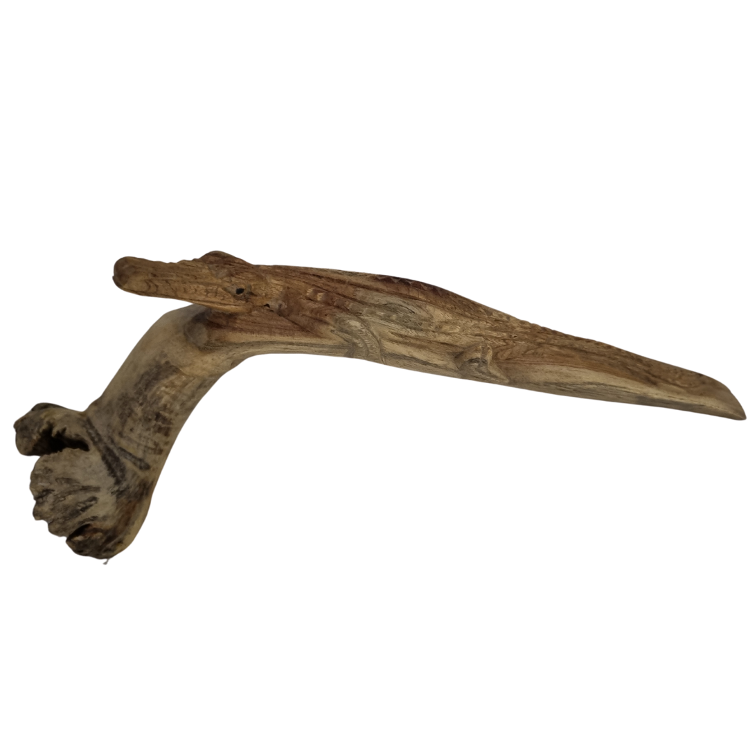 Parasite wood crocodile on natural wood form sculpture, approx. 16cm, showing organic wood character