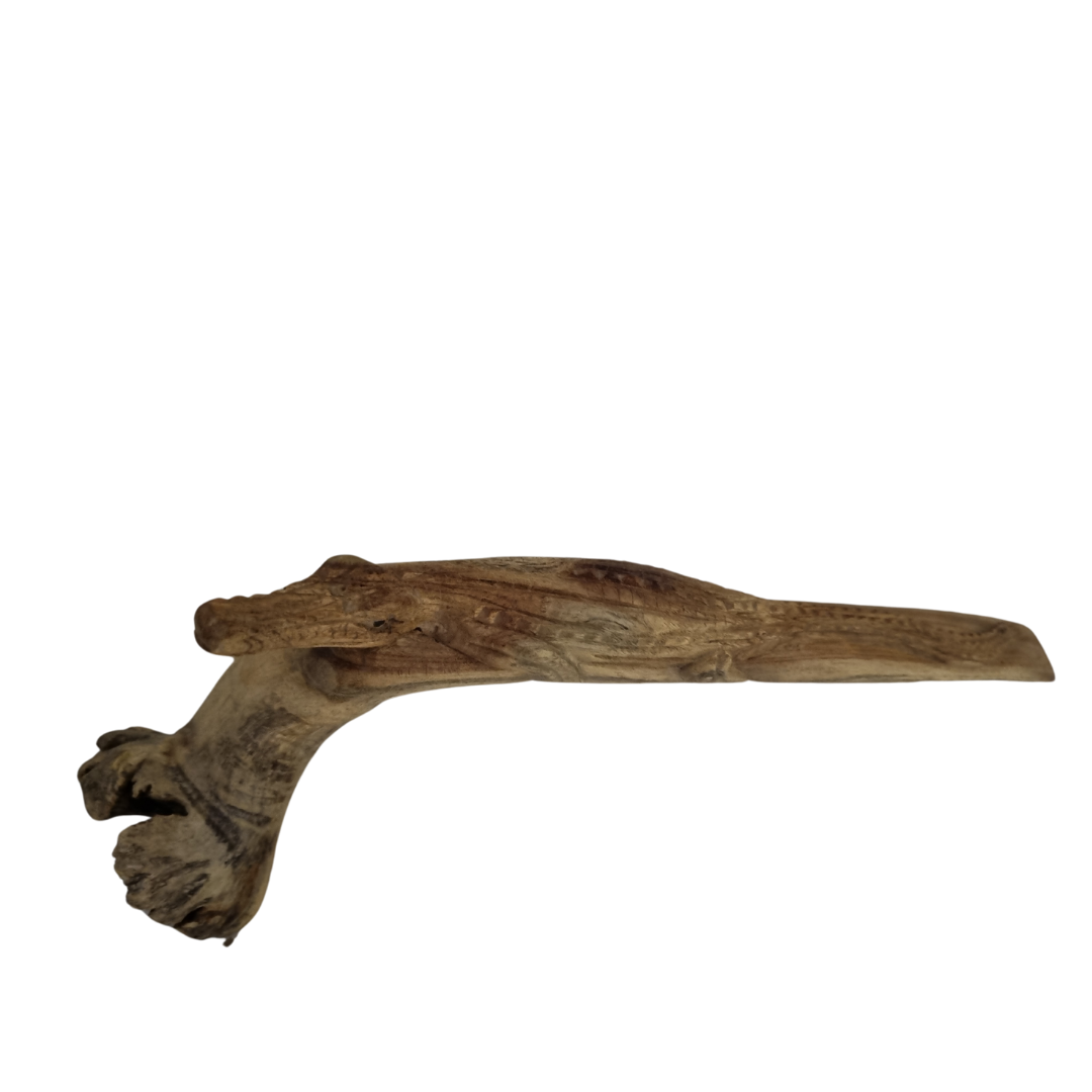 Parasite wood crocodile on natural wood form sculpture, approx. 16cm, showing organic wood character