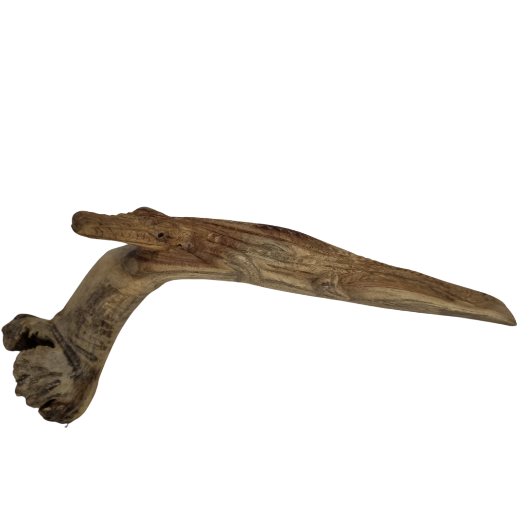 Hand-carved parasite wood crocodile sculpture showing rustic natural texture and character.