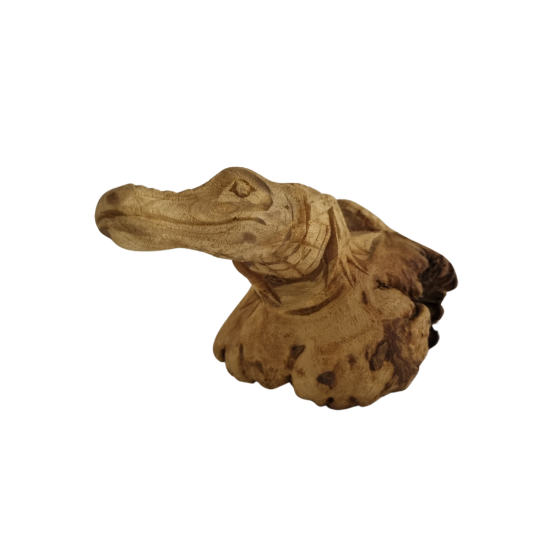 Hand-carved parasite wood crocodile on bar sculpture, approx. 25cm, on white background