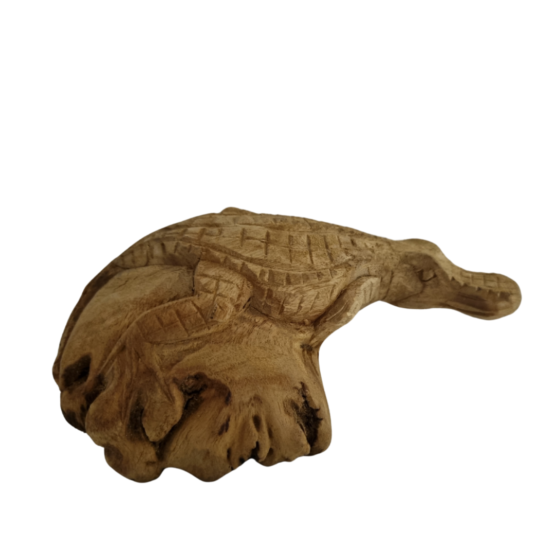 Hand-carved wooden crocodile sculpture on natural wood form, approx. 16cm, on white background