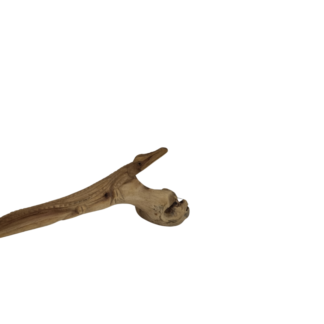 Natural parasite wood form used to hand-carve the crocodile sculpture, showing unique organic shape