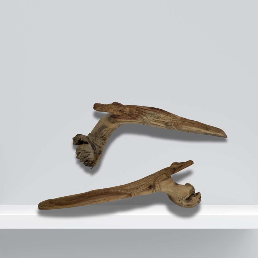 Two parasite wood forms showing the natural swirls and knots used in hand-carved crocodile sculptures