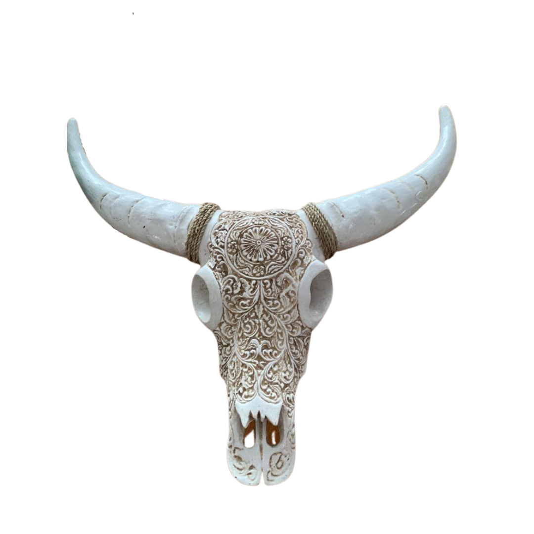 Decorative bull skull with intricate patterns on a white background