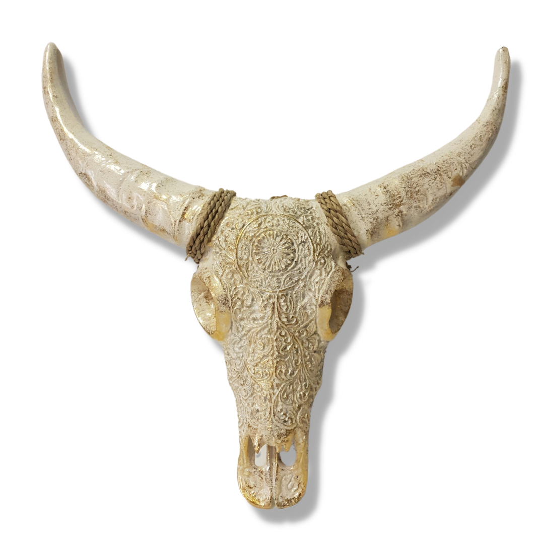 Decorative bull skull with long horns on a white background