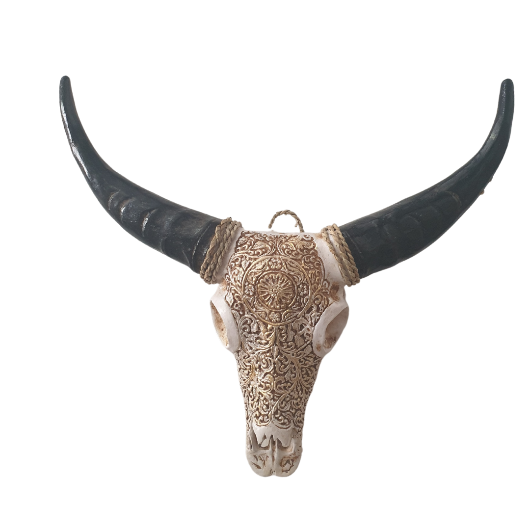 Decorative bull skull with intricate patterns and large horns on a white background