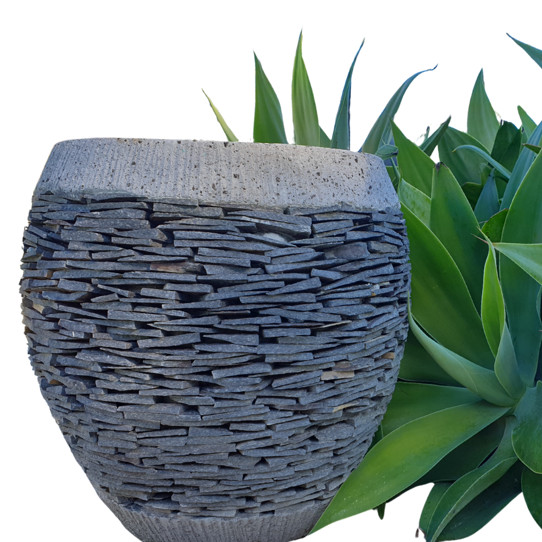 Decorative stone-patterned planter with a succulent plant on a white background