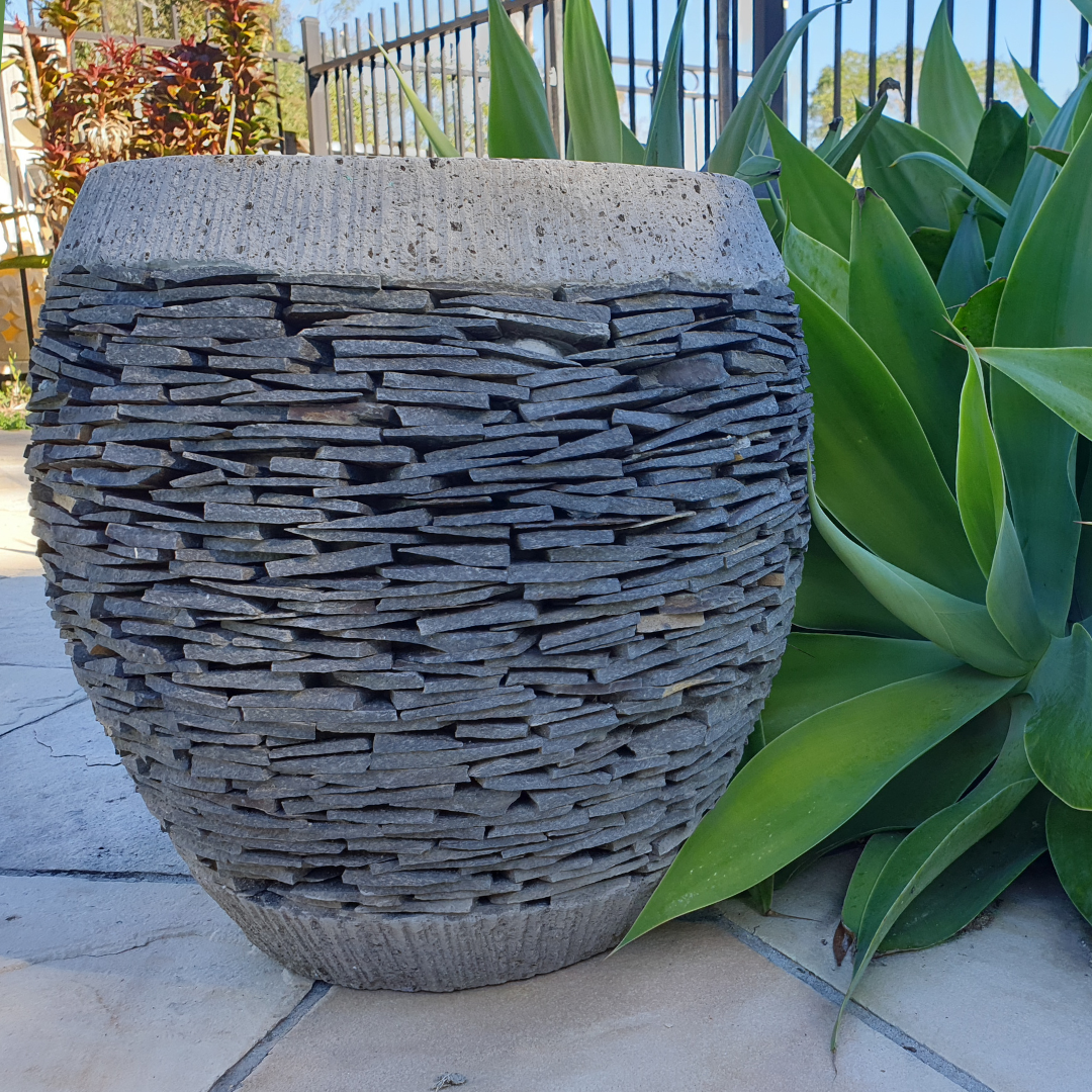 Decorative stone pot with green plants in the background