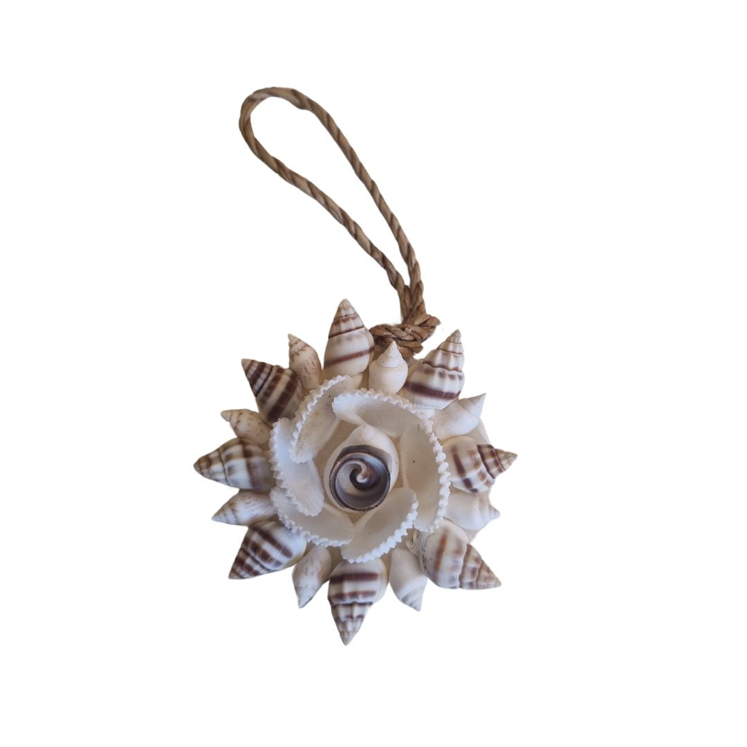 Decorative ornament made of seashells with a central spiral design on a white background