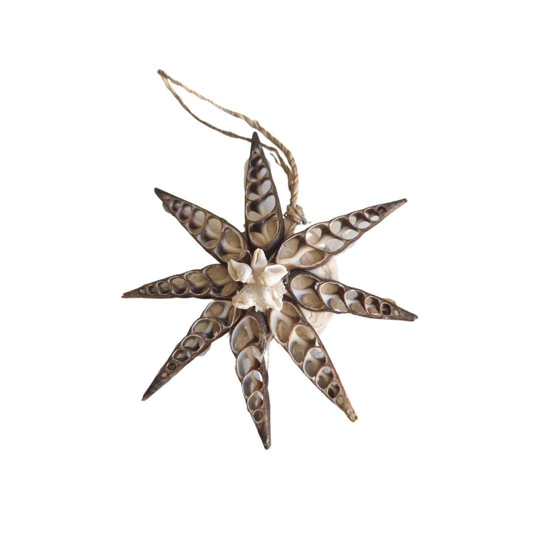 Decorative star-shaped ornament with a white center on a white background