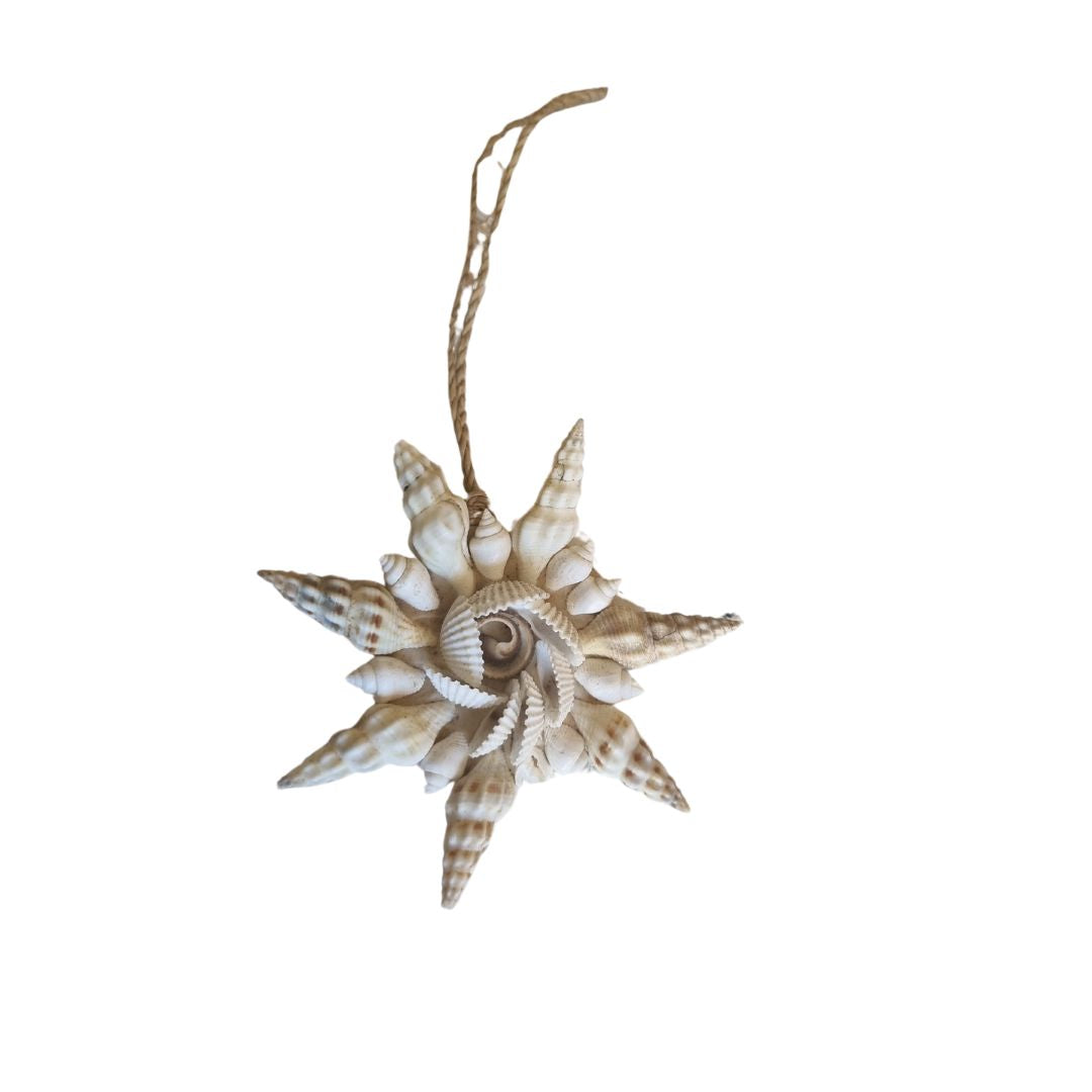 Star-shaped shell ornament with twine on a white background