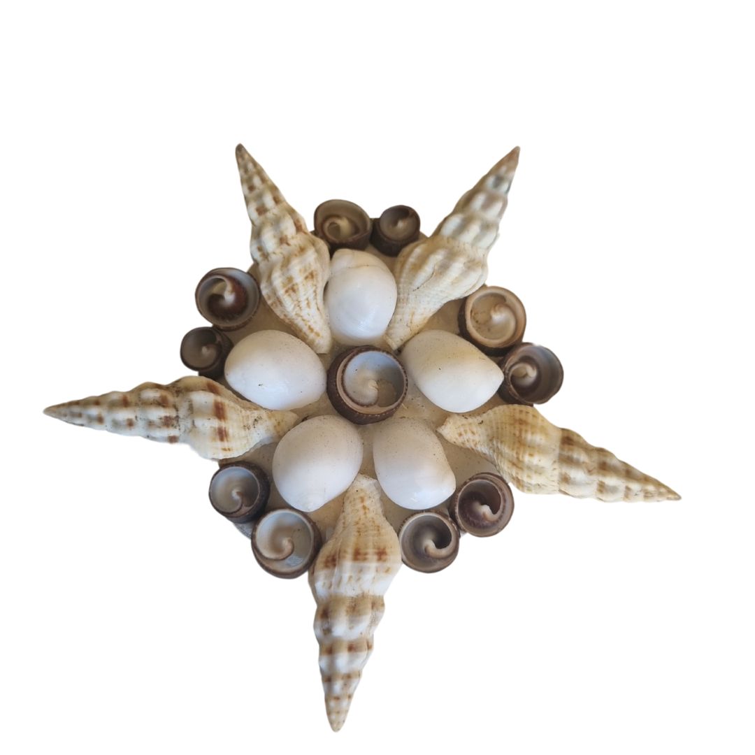 Decorative wall art made of seashells on a white background