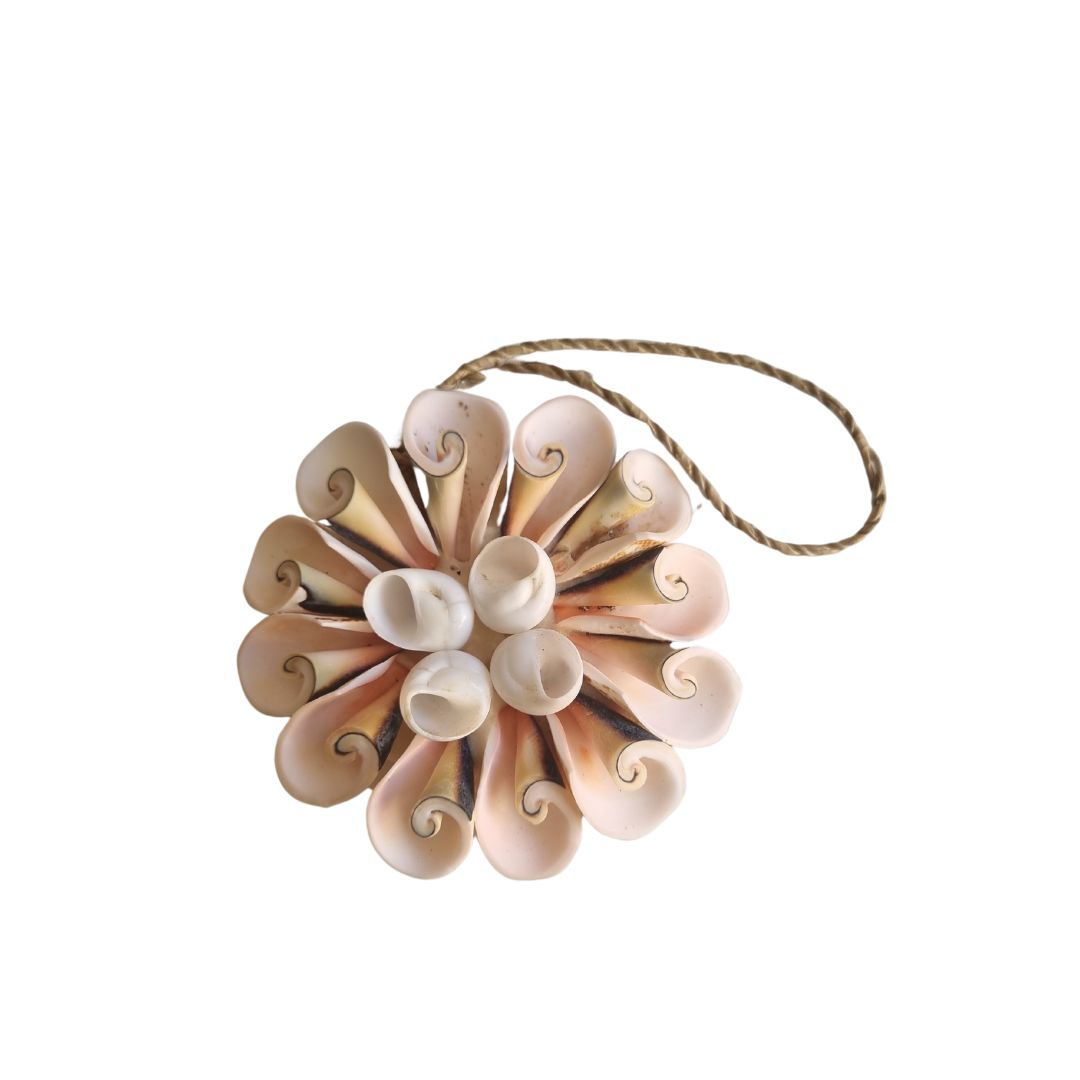 Decorative shell flower ornament on a white background