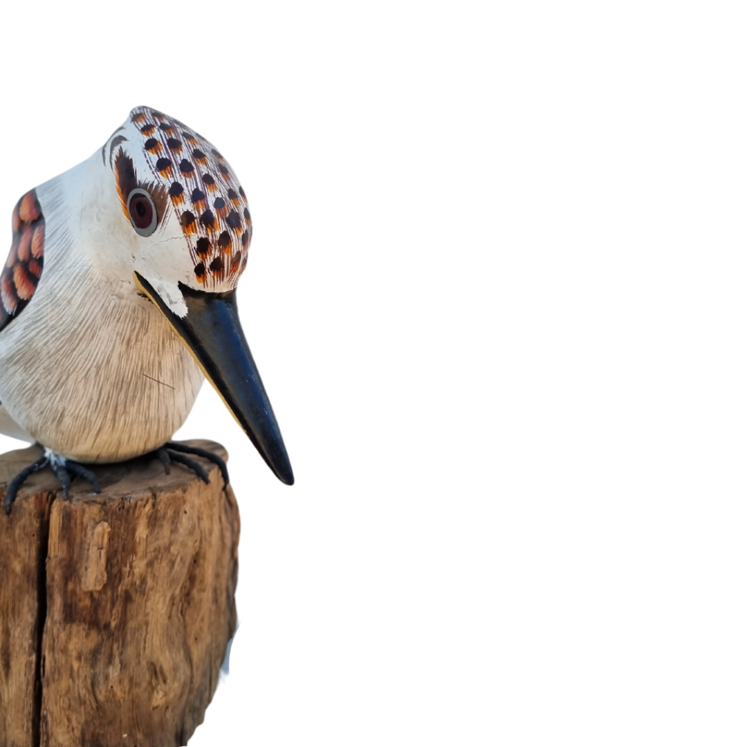 Hand-carved wooden Kookaburra bird perched on a solid natural wood base. The bird is detailed and lifelike, with carved feathers and a realistic shape. The backdrop is plain white, highlighting the sculpture’s texture and natural wood tones