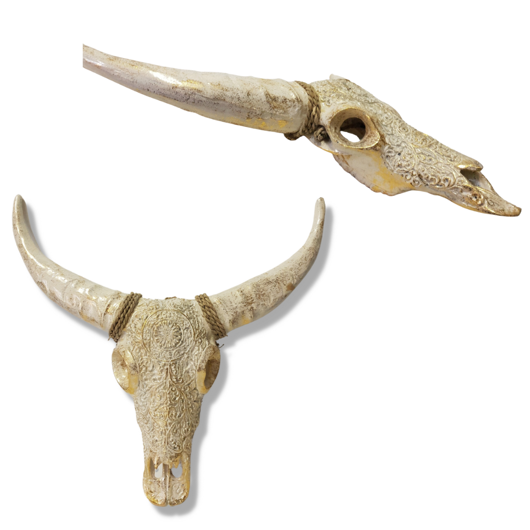 Two decorative bull skulls with long horns on a white background